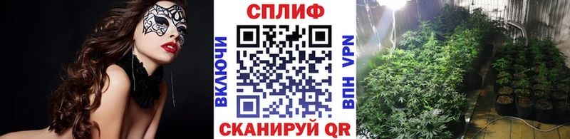 Купить закладку Донской ОМГ ОМГ ТОР  Марихуана  Alpha-PVP  Меф мяу мяу  ГАШИШ 