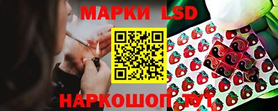 индика Кулебаки