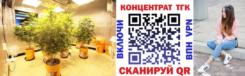 ТГК гашишное масло  продажа наркотиков  Донской 