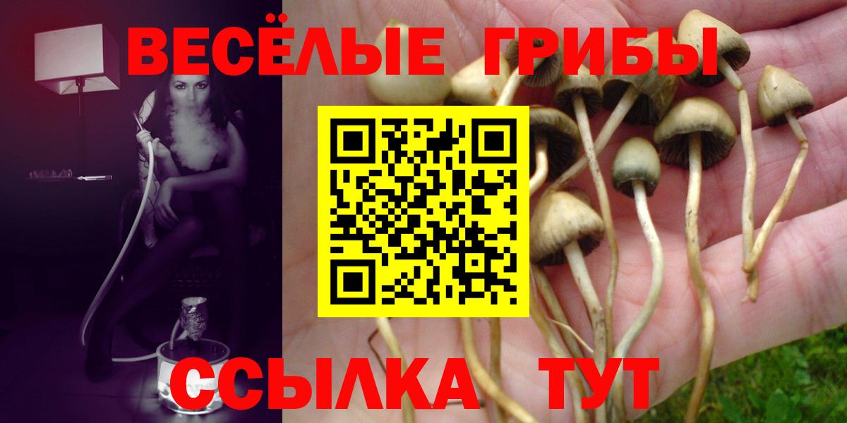 Донской  Галлюциногенные грибы Magic Shrooms  купить закладку  Вход с VPN 